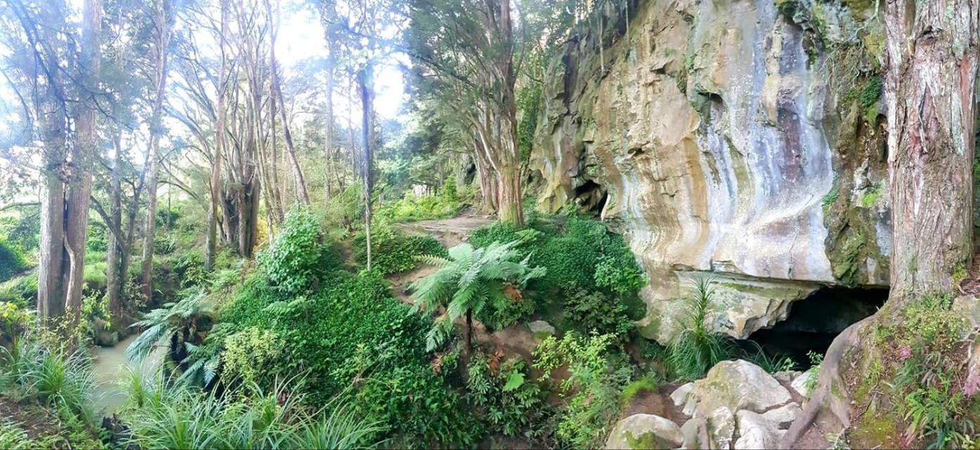 1 Waipu Off-Grid Eco Seaview Geodesic Glamping Dome Hotel Exterior photo